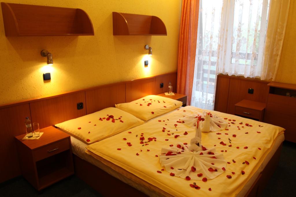 Hotel Odra Ostravice Oda fotoğraf