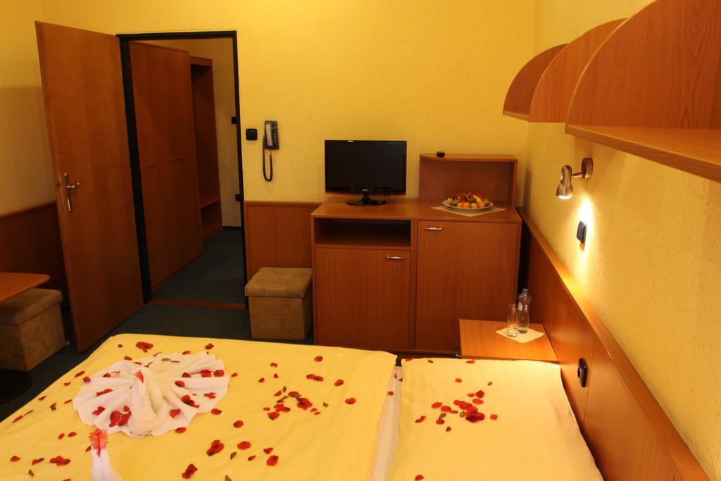 Hotel Odra Ostravice Oda fotoğraf