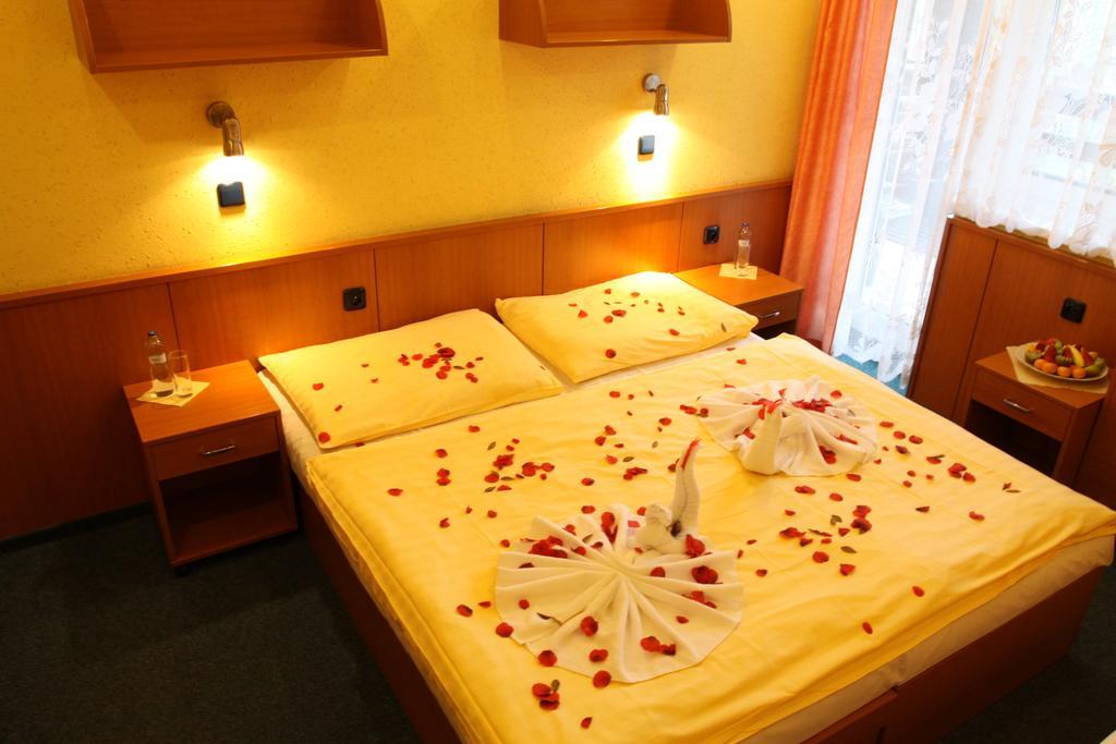 Hotel Odra Ostravice Oda fotoğraf